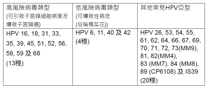 HPV病毒種類